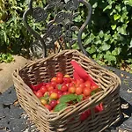 Dolce In Tuscany Tatil Evi Capannori