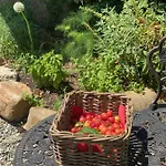 Tatil Evi Dolce In Tuscany *