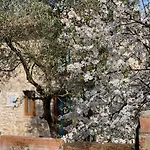 Dolce In Tuscany Tatil Evi