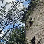 Dolce In Tuscany Tatil Evi *