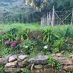 Tatil Evi Dolce In Tuscany Capannori