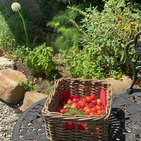 Hébergement de vacances Dolce In Tuscany *