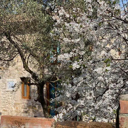 Dolce In Tuscany Hébergement de vacances