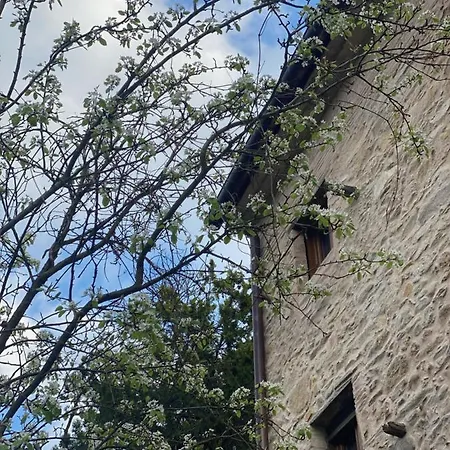 Dolce In Tuscany Hébergement de vacances *
