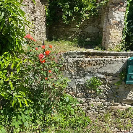Dolce In Tuscany